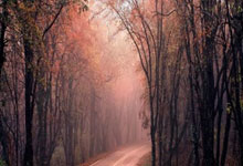 莫塔告别尤文:感谢所有支持我的人,祝尤文未来一切顺利.