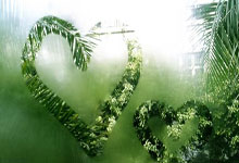 说好的5月世纪婚礼呢曼城21岁中卫胡桑诺夫回国已立即完婚.