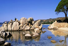 超凡国际:WTT马斯喀特站:陈垣宇、石洵瑶分获男女单冠军.